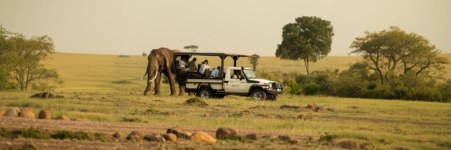 Fotosafari-PMB-Jan19-1794 - Copy 1.webp